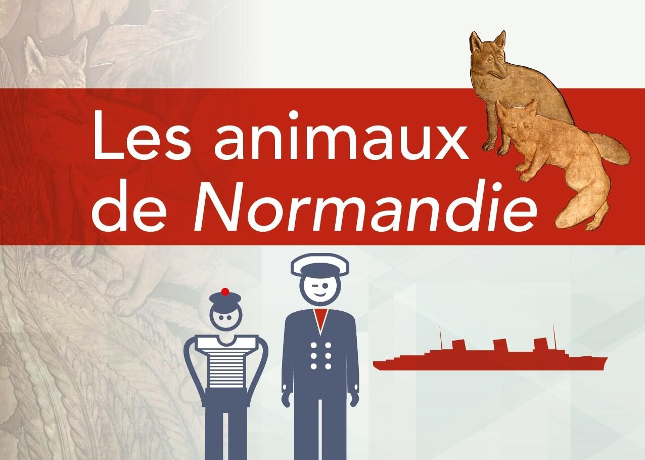 Les animaux de Normandie