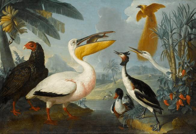 Alexandre François Desportes, Oiseaux exotiques, Louvre