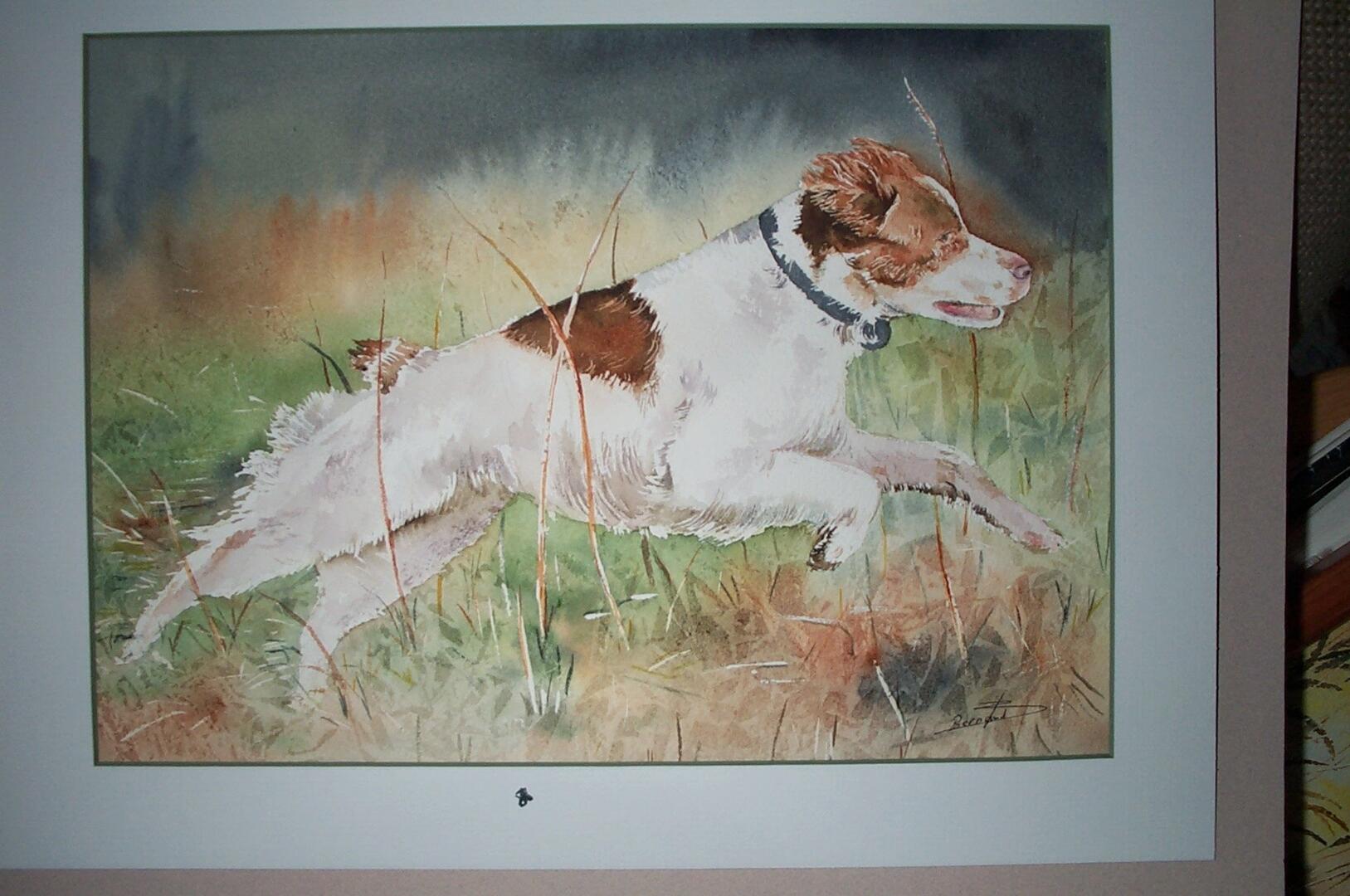 Chien de chasse