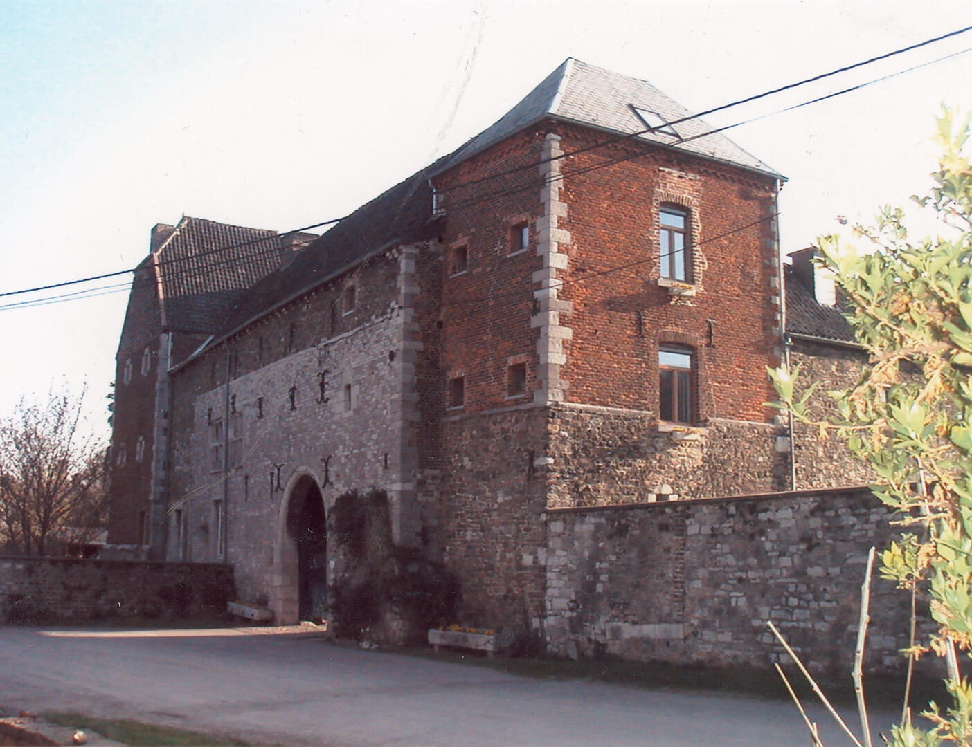 L'AVOINE