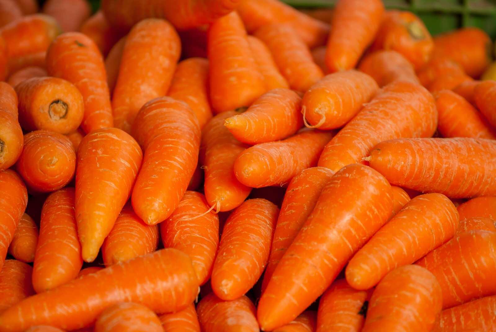Carottes02