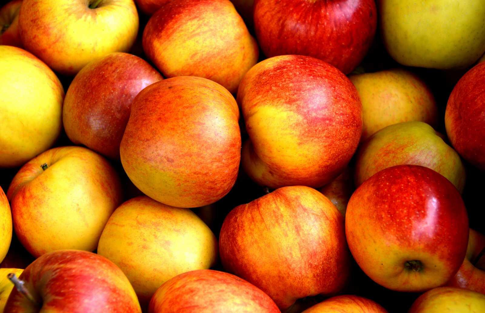 Pommes