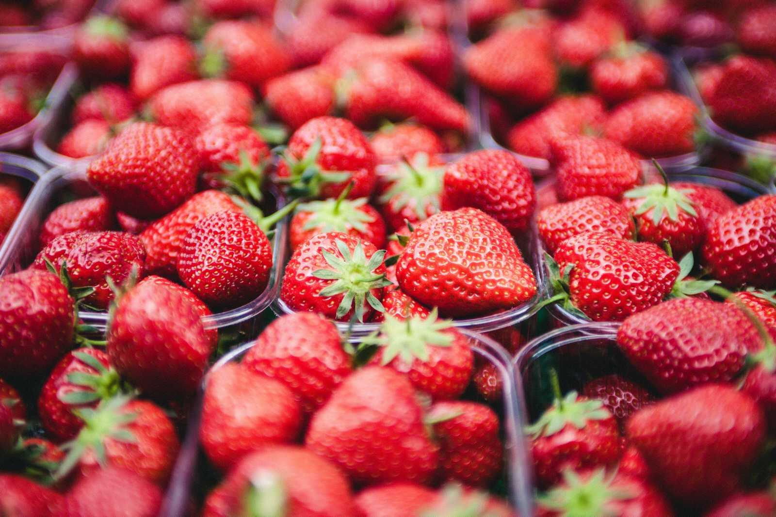 Fraises