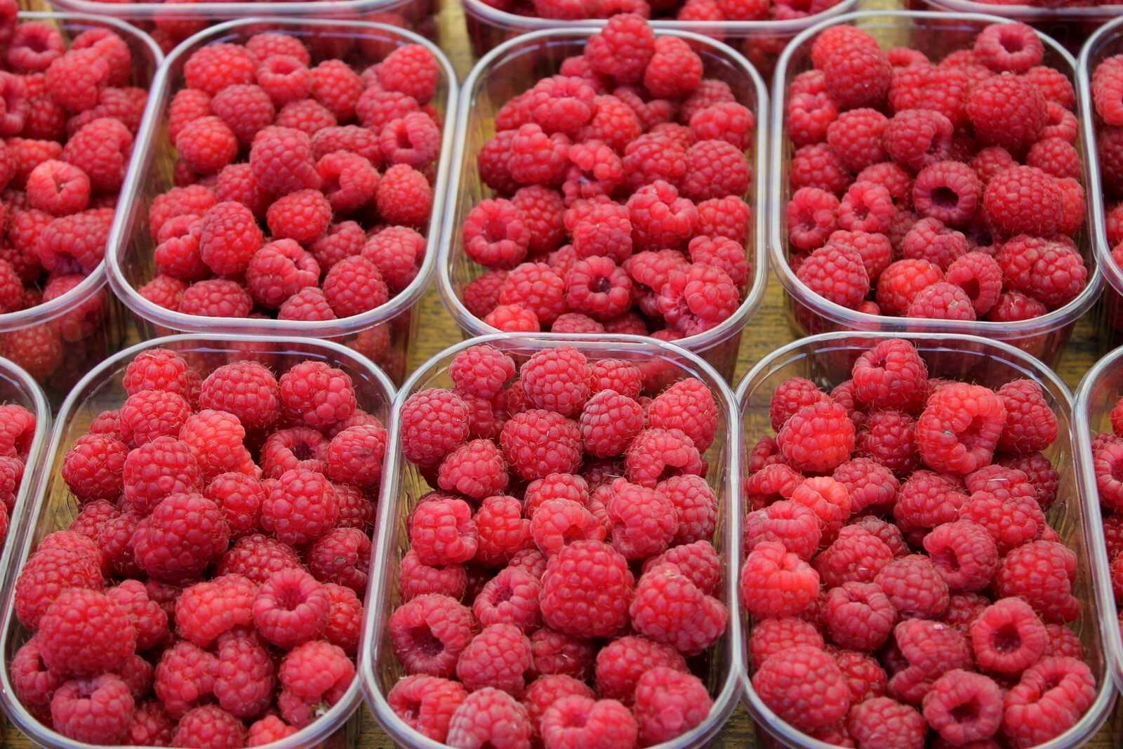 Framboises