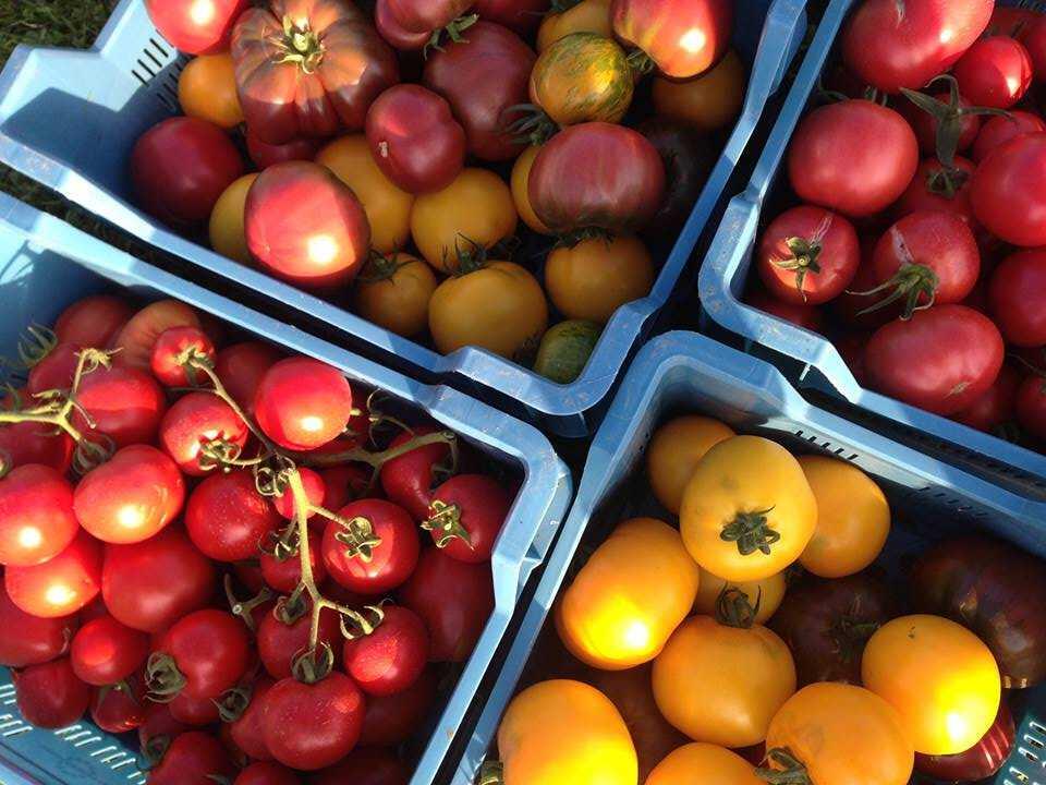 Sentiersdupotager