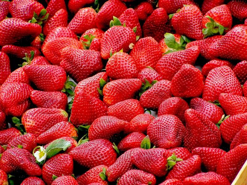 Fraises00