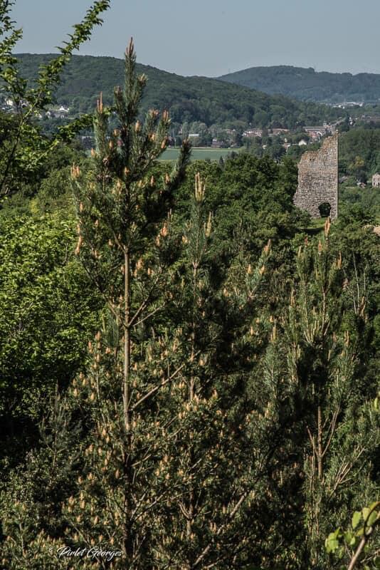 Château de Beaufort
