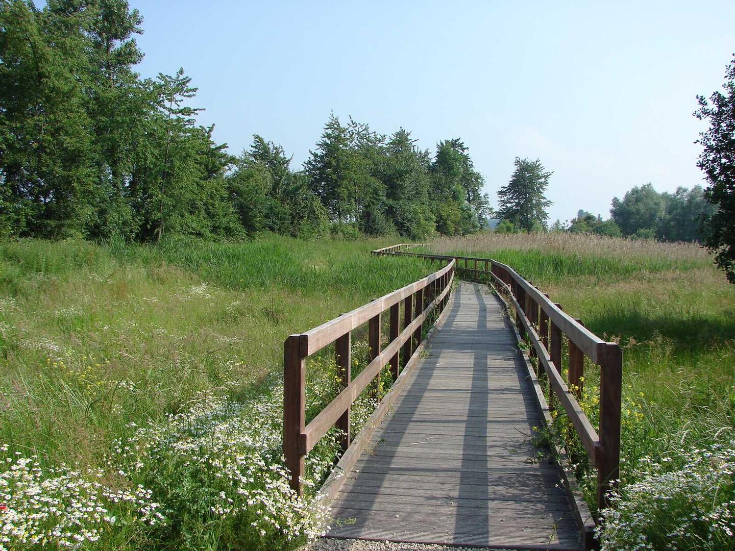 Site du Wachnet