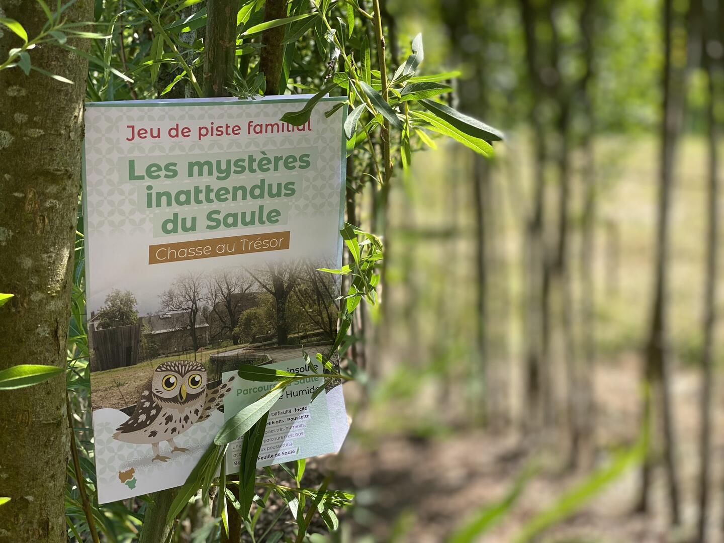 Parcours du saule