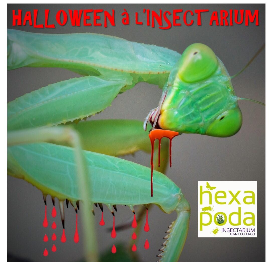 Halloween Hexapoda - Affiche