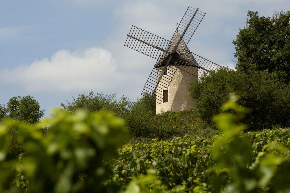 Moulin Sorine -Santenay