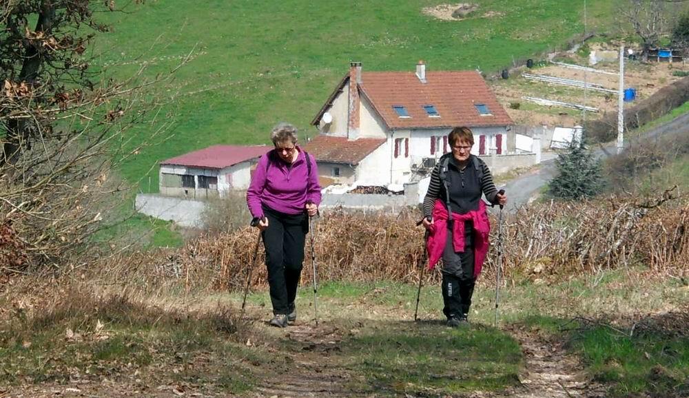 photo vouivre en chemins