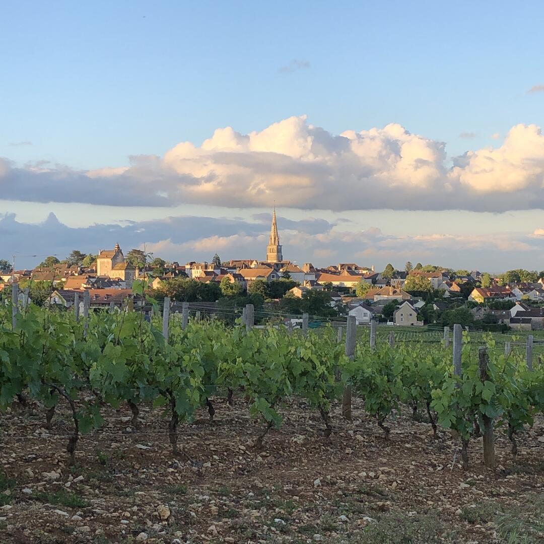 Meursault en Bourgogne