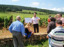 Ecole des Vins de Bourgogne vignes
