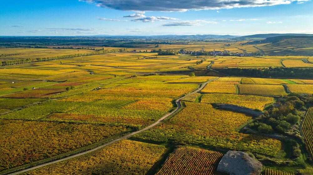vue aerienne Beaune et Pommard
