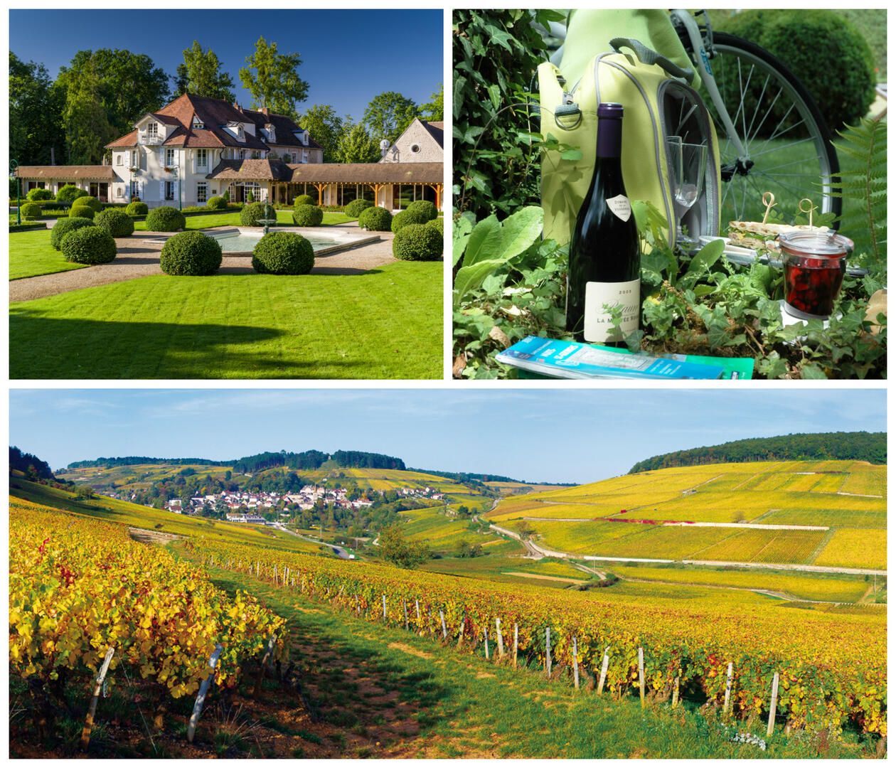 Collage Route des grands crus