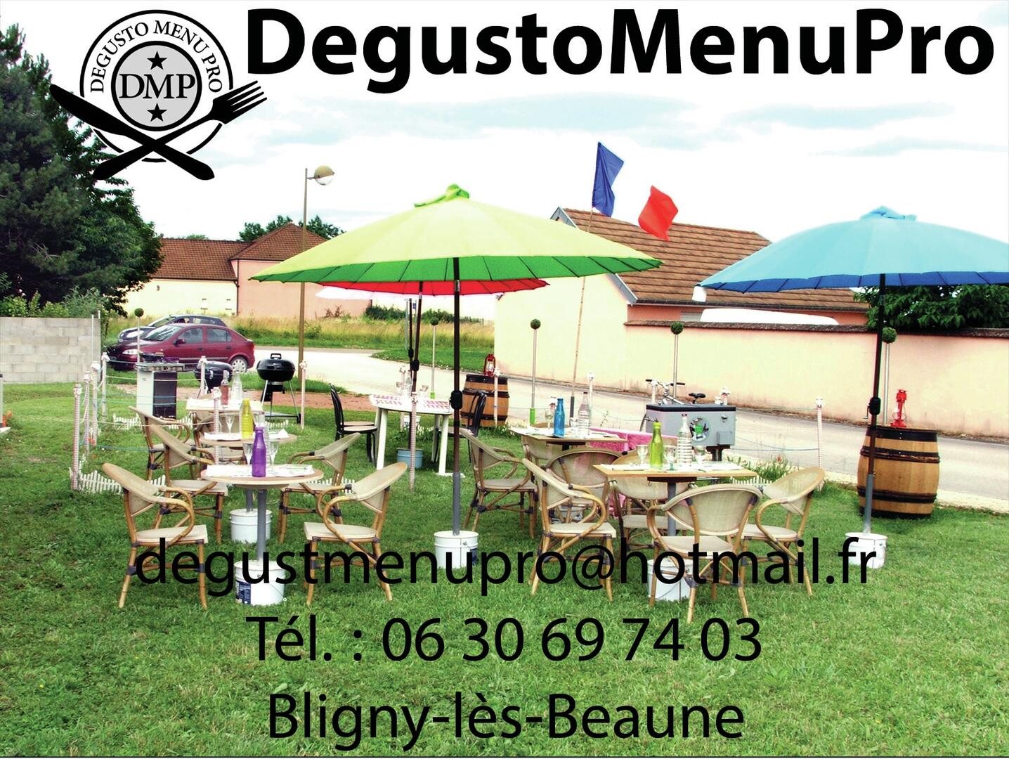 DESTOMENUPRO