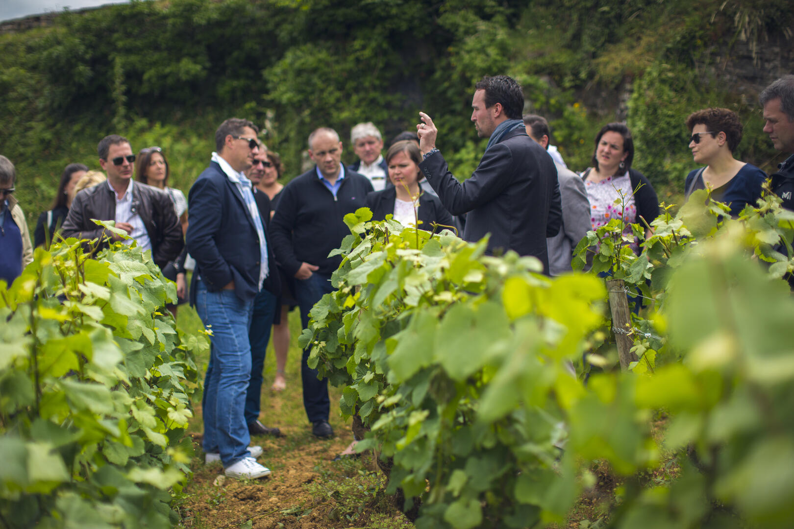 ECOLE DES VINS DE BOURGOGNE