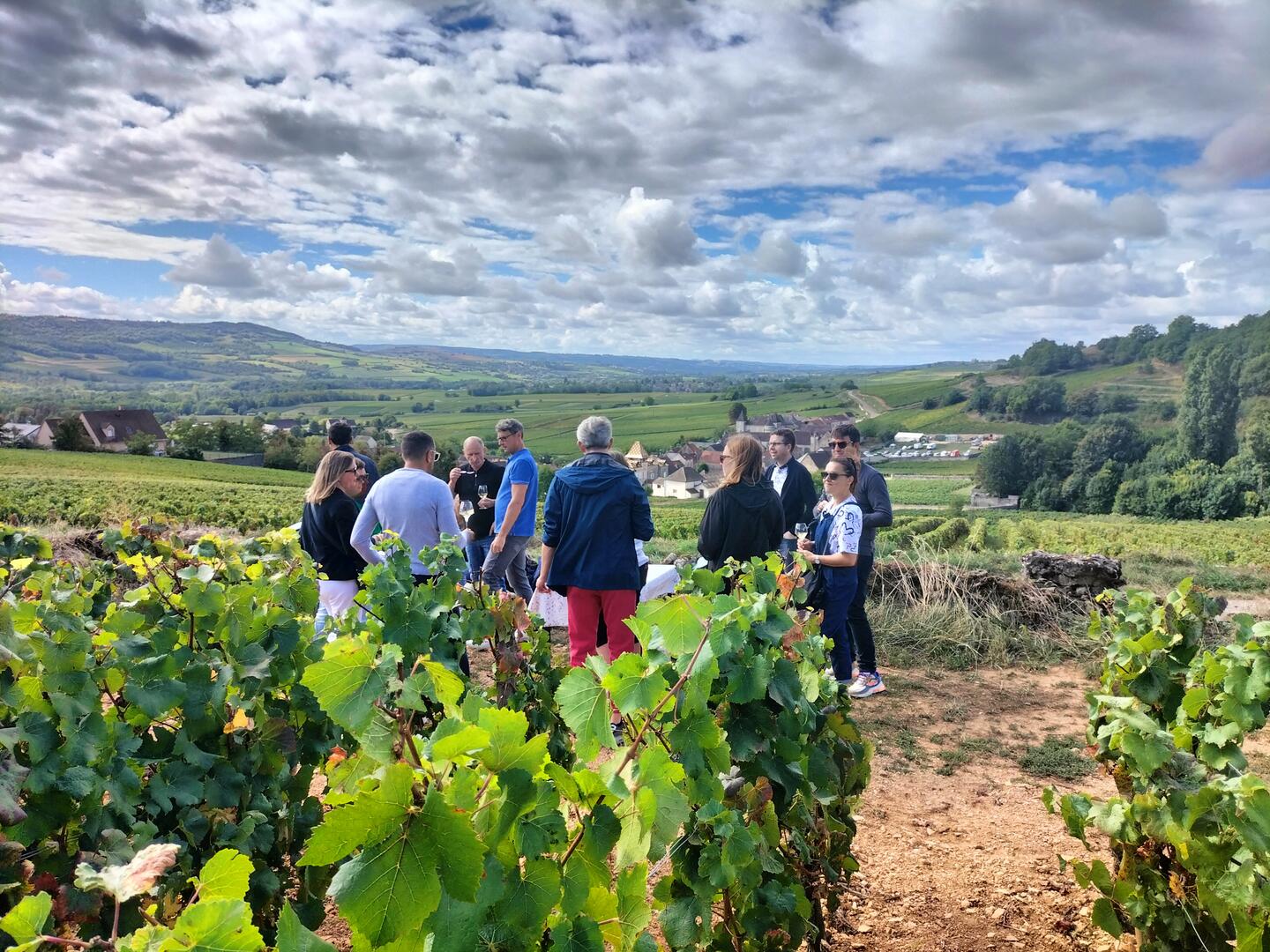 groupe dans les vignes