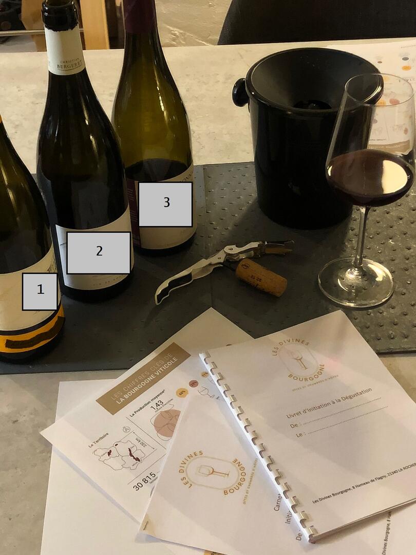 Initiation à la dégustation, Les Divines Bourgogne