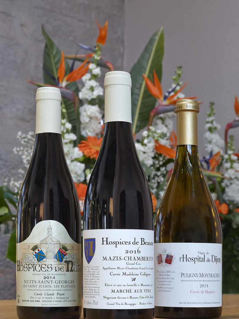 Vins des Hospices