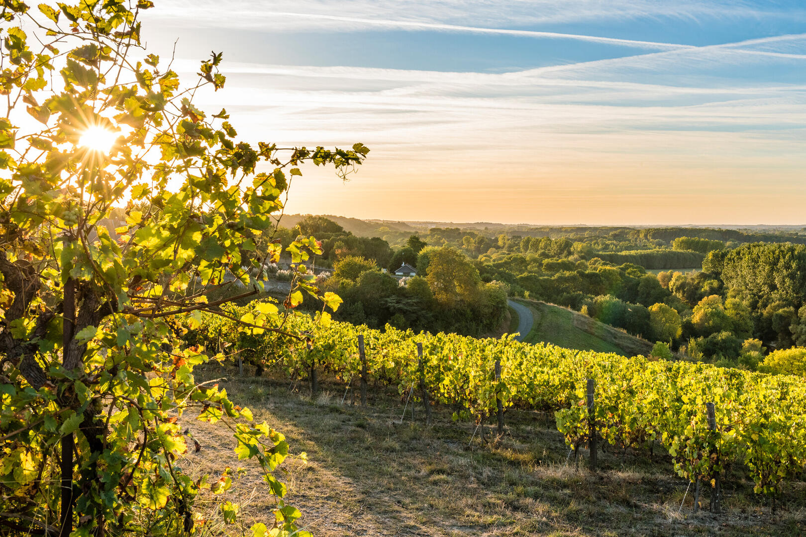 corniche-angevine-copyright-sebastien-gaudard-destination-angers-5274-1920px-2535607