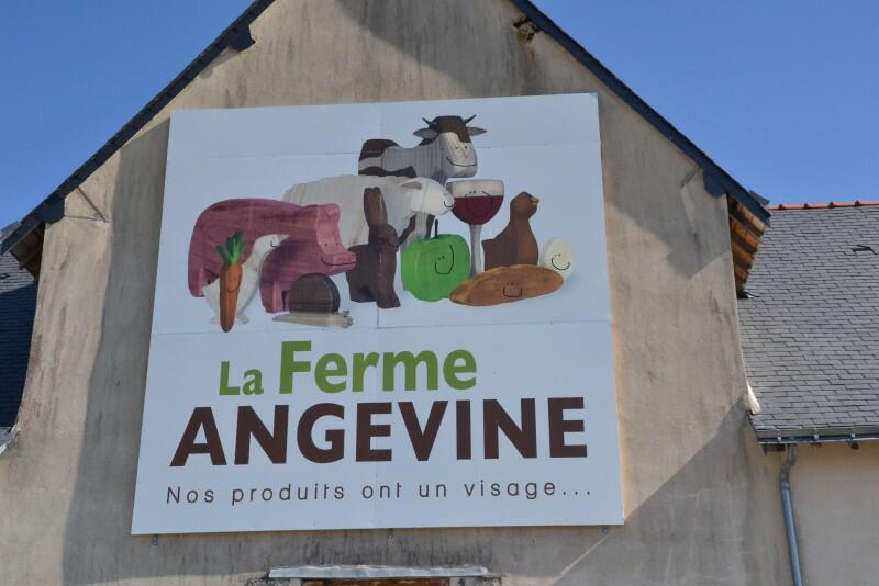 ferme-angevine-beaucouze-388600
