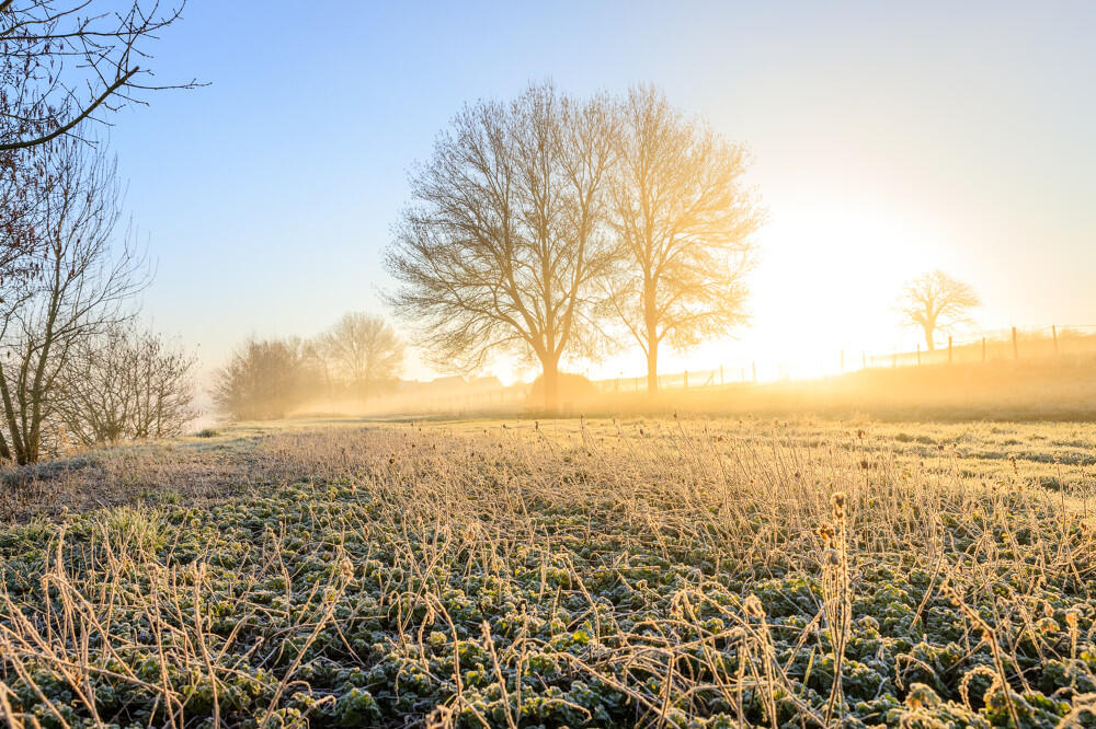 rives-du-loir-copyright-dorothee-mouraud-destination-angers-destination-angers-6639-1000px-2270642