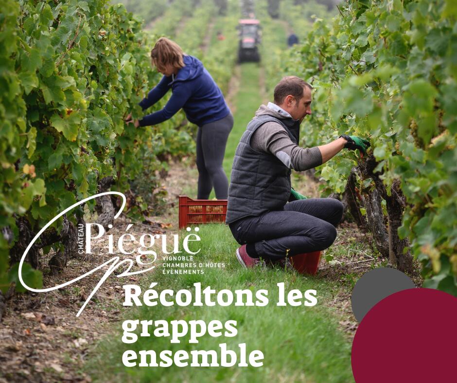 2022-vendangeur-d-un-jour-au-ch-teau-piegue-post1-facebook-1092205