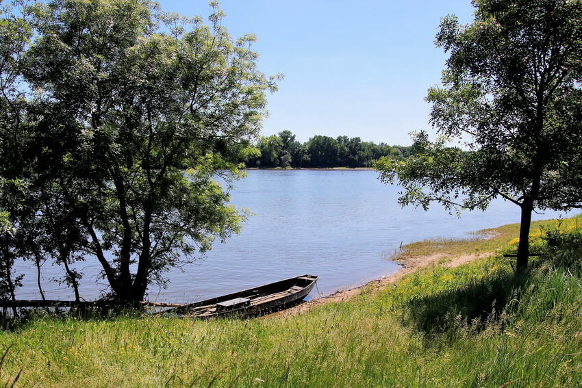 behuard3-1088206