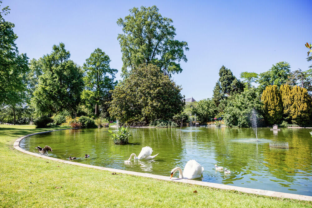 jardin-des-plantes-copyright-dorothee-mouraud-destination-angers