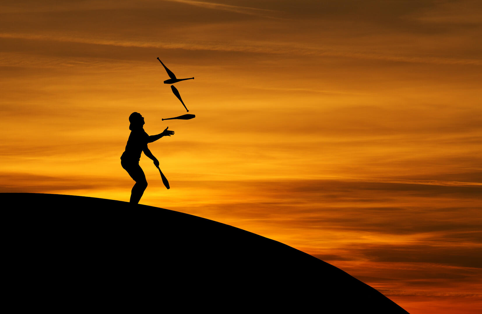 quel-cirque-photo-g-n-rale-1088345