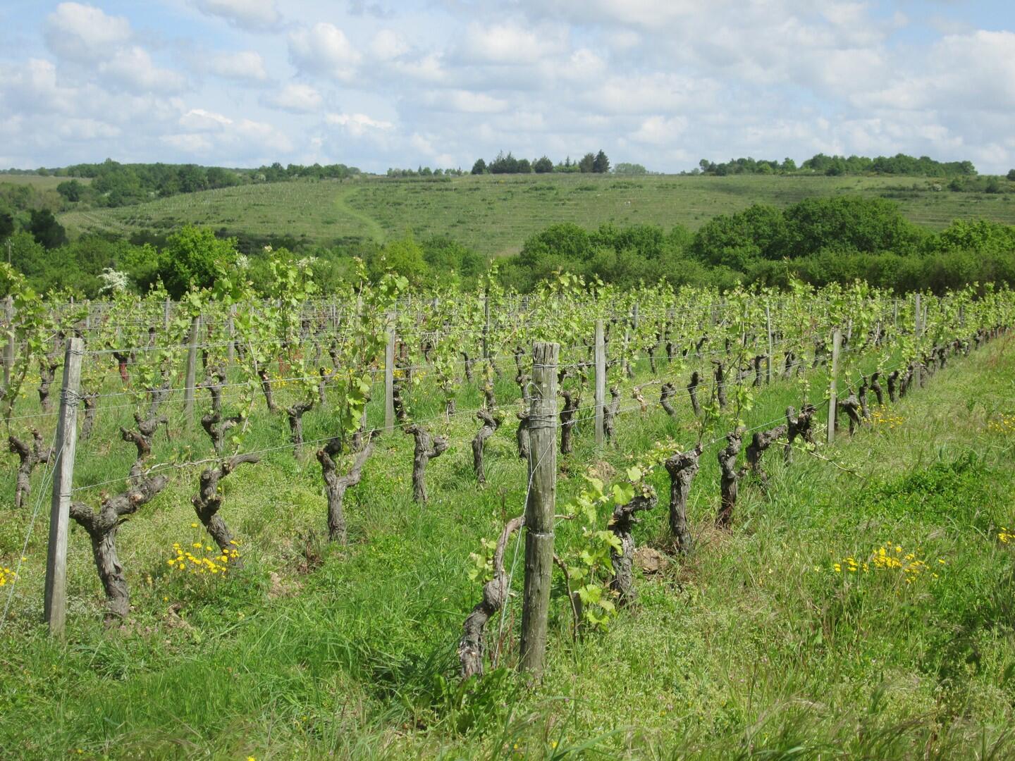 rablay-printemps-copier-1087150