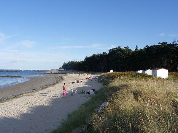 plage-des-sapins-ile-d-yeu-24744