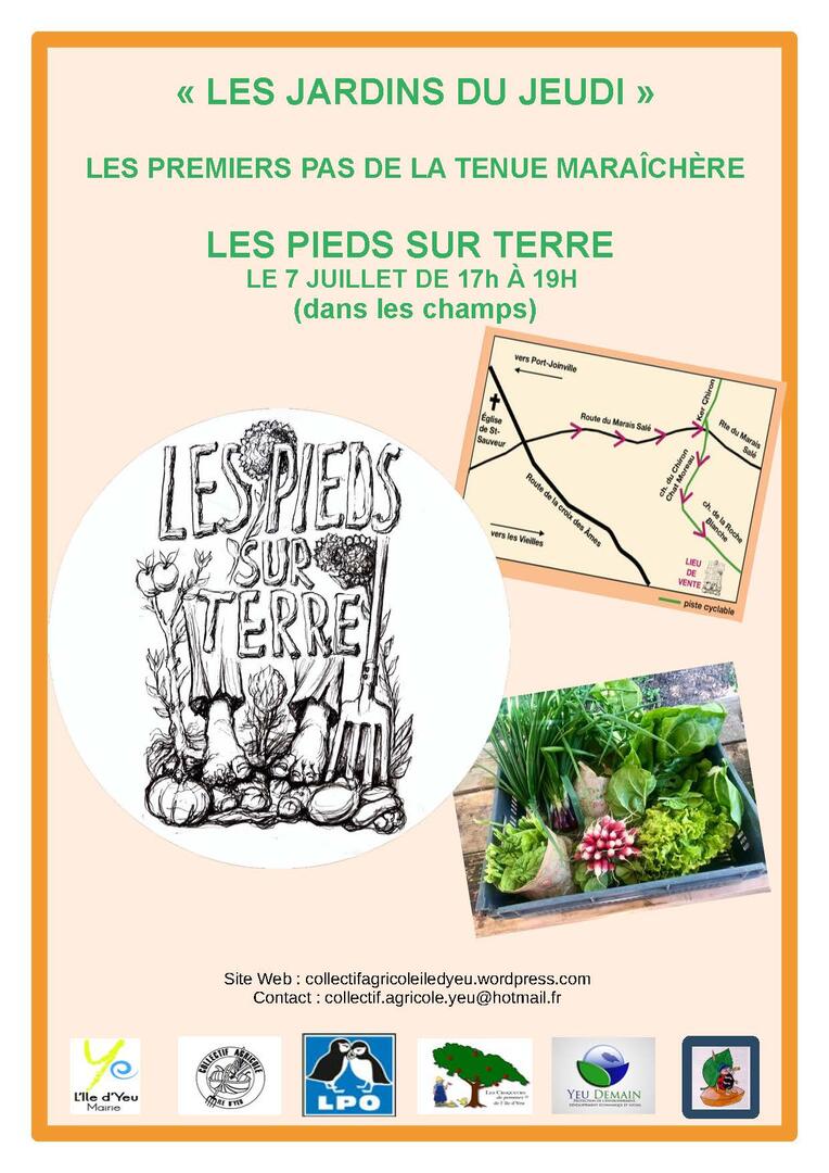 jardind-u-jedi-les-pieds-sur-terre-302726