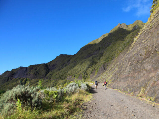 8de42_montagne-salazie-col-des-boeufs.jpg_1