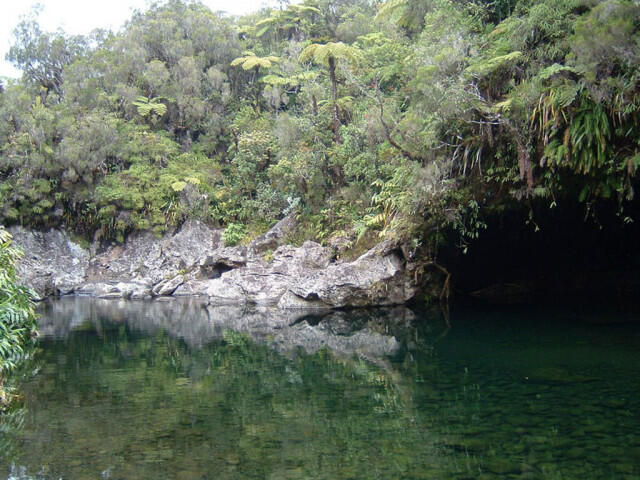 f3b7c_46833030-1.jpg_1