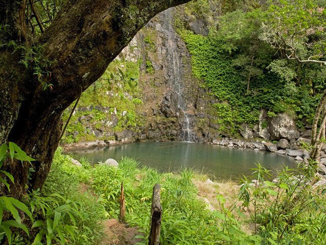 6deeb_cascade-maniquet-reunion.jpg_1