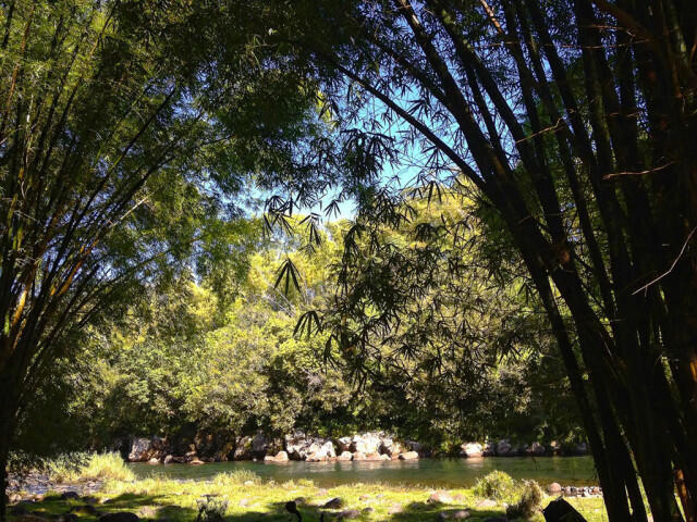 fad0f_bassin-mangue-photo-0777-1.jpg_1