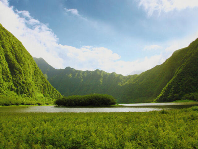 28ad0_grand-etang-reunion.jpg_1