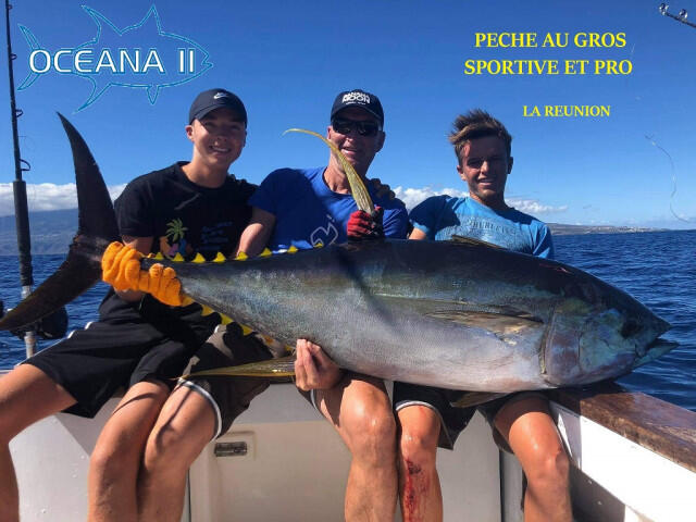 IRT Presentation.jpg_1