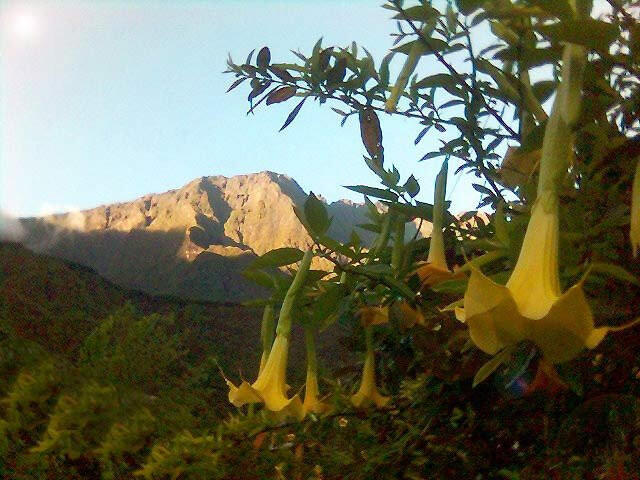 2b2b8_piton-des-neiges.jpg_1