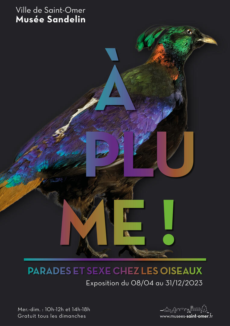 A_plume_musee_sandelin ©MUSEE SANDELIN
