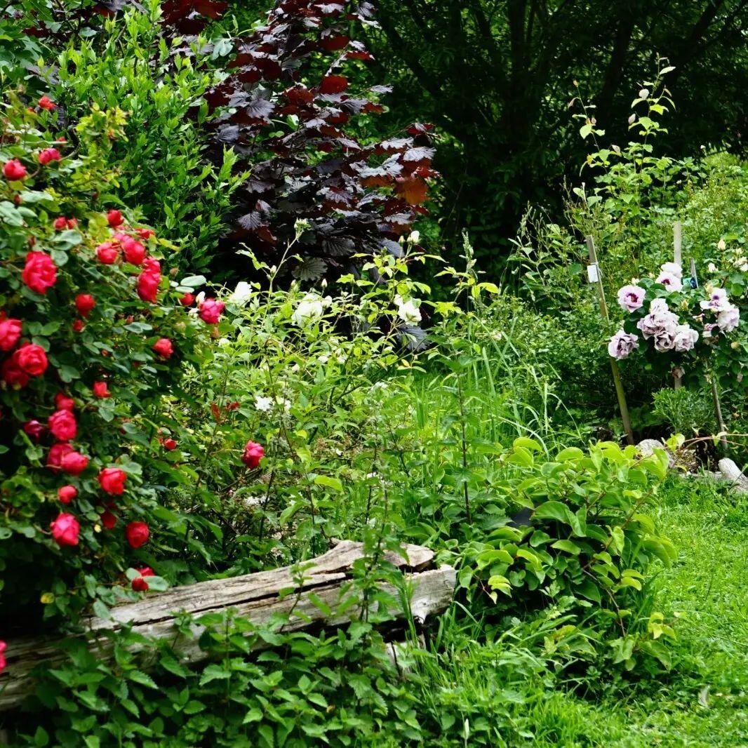 ATC-jardins