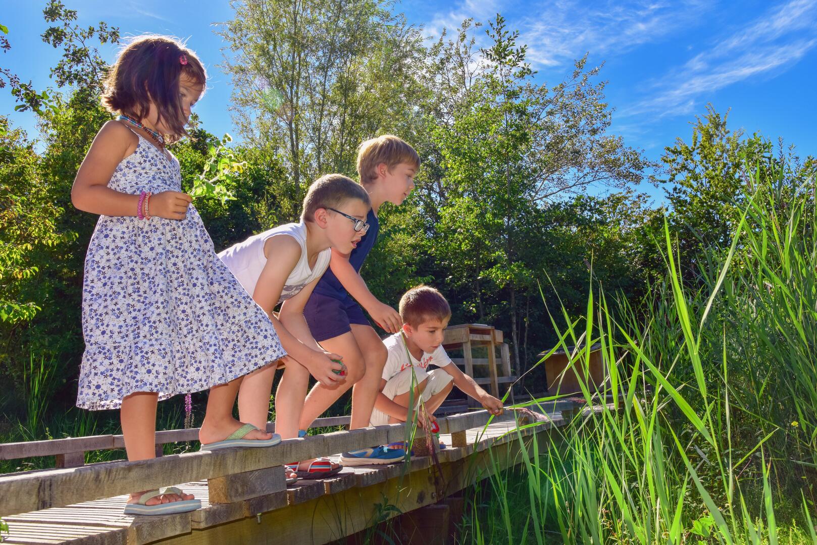 Animations enfants©Eden62 (1)