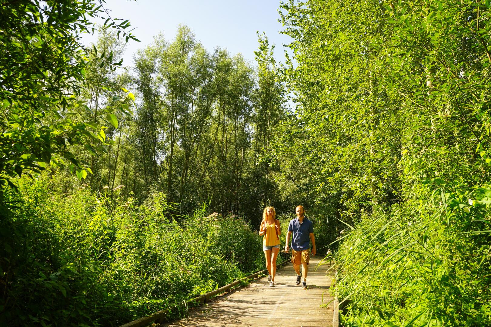 Les Ballastières Randonnée 2019 AIRE-SUR-LA-LYS © P. Hudelle SPL Tourisme en Pays de Saint-Omer (33)