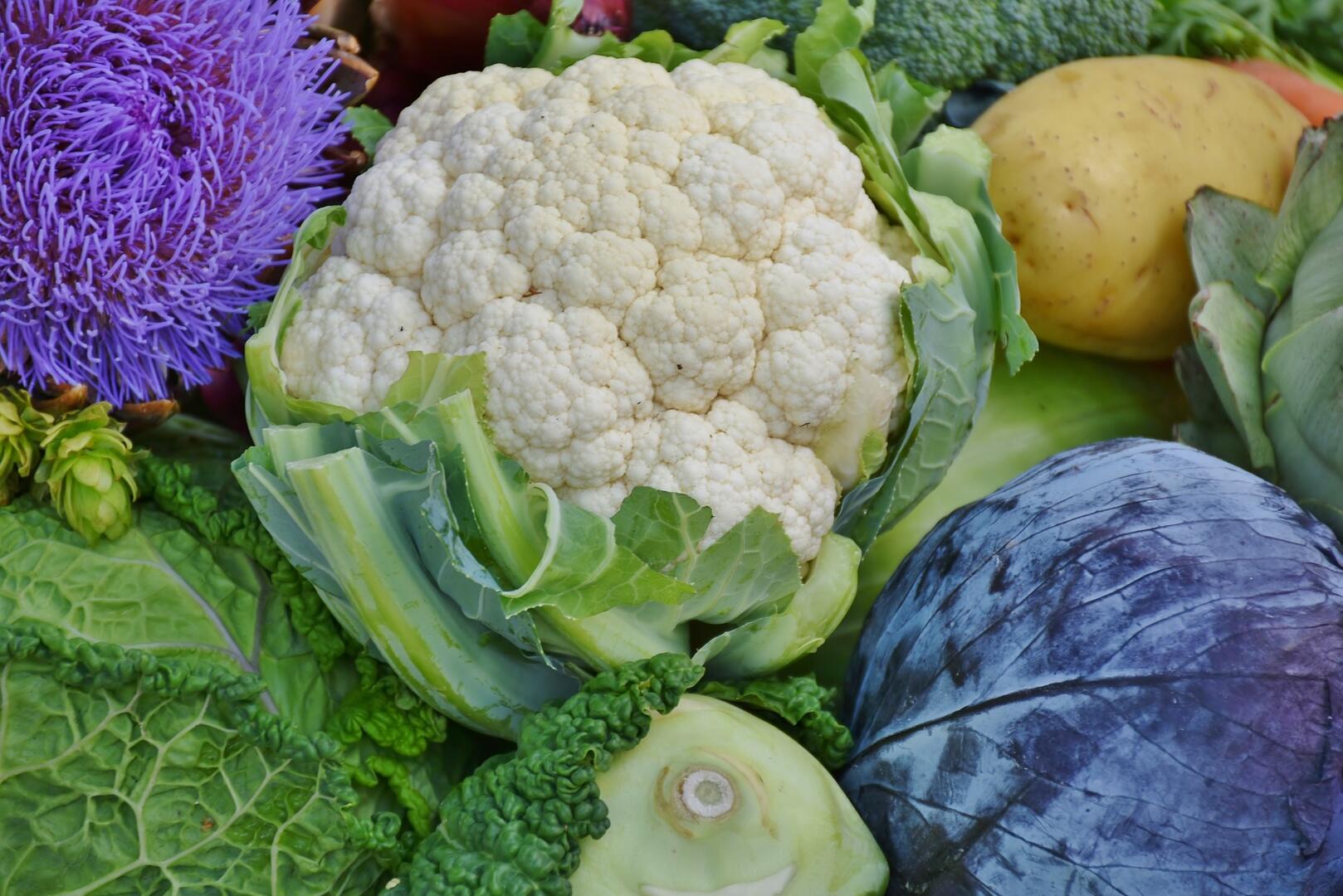 marché_légumes