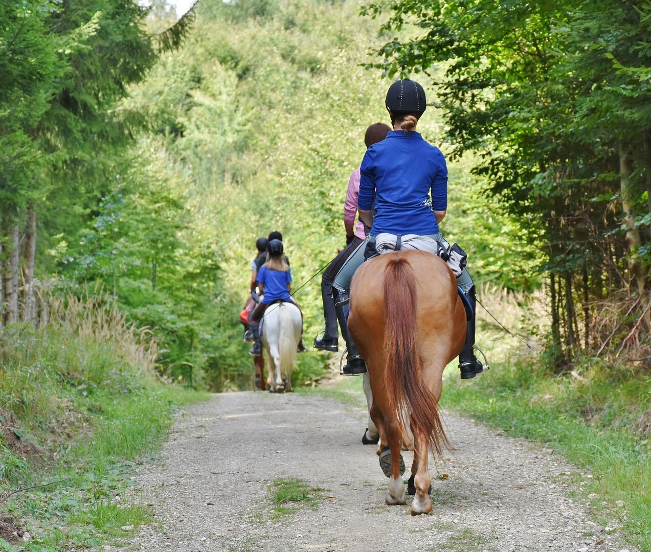picto EQUESTRE p13