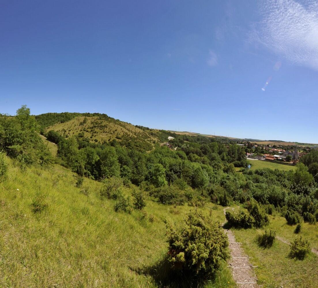 Les Coteaux de l'Aa - Esquerdes