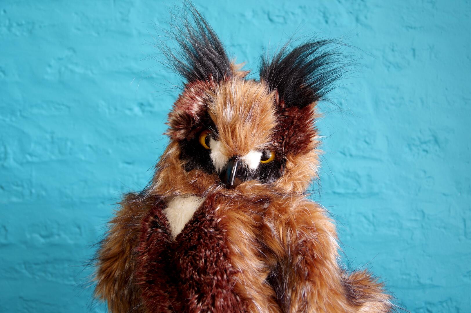 27-12-les-bouts-d-chou-amours-bob-le-hibou-musee-sandelin